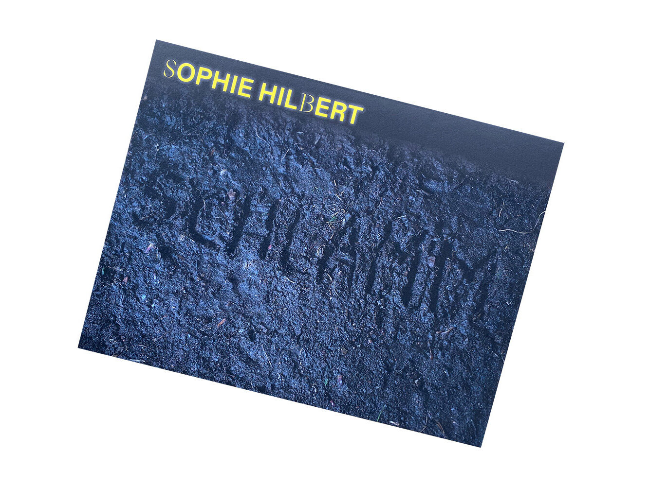 Sophie Hilbert Katalog Goldrausch 2022